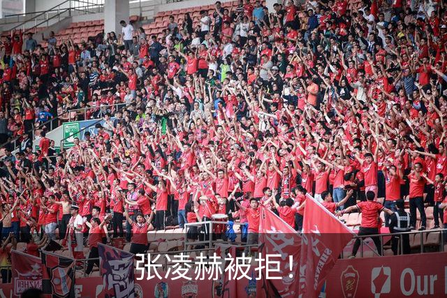 张凌赫被拒！